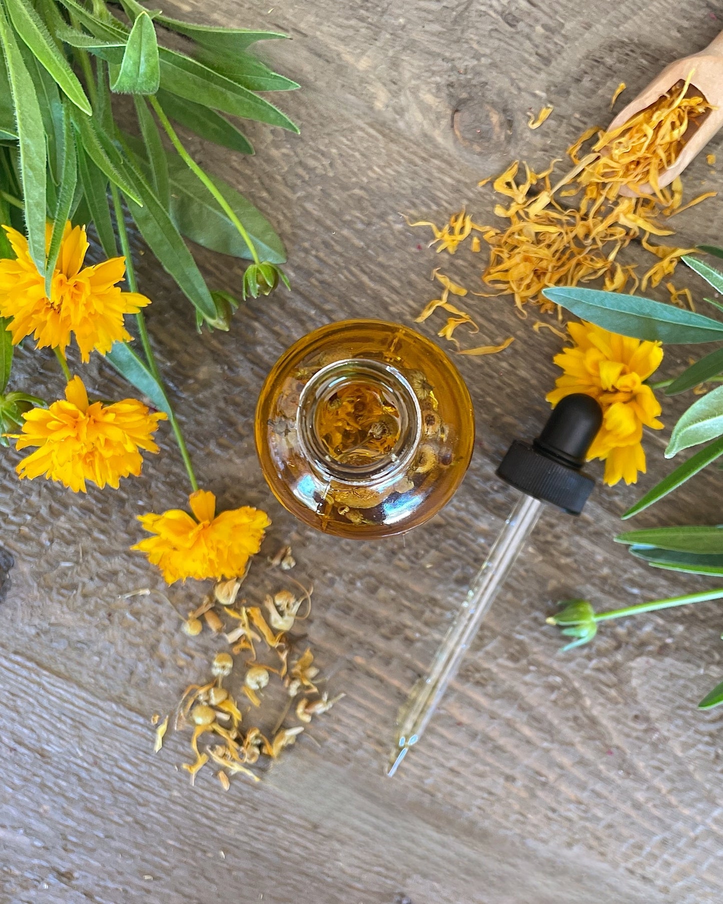 Sunshine Body Oil