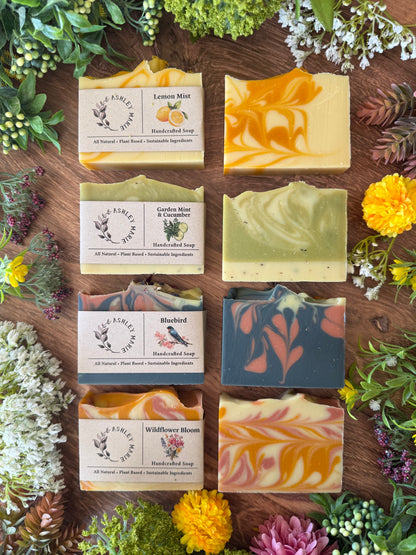Seasonal Soap Subscription